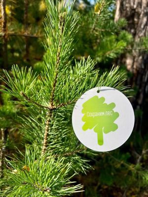 На Южном Урале проходит всероссийская акция по высадке деревьев «Сохраним лес»